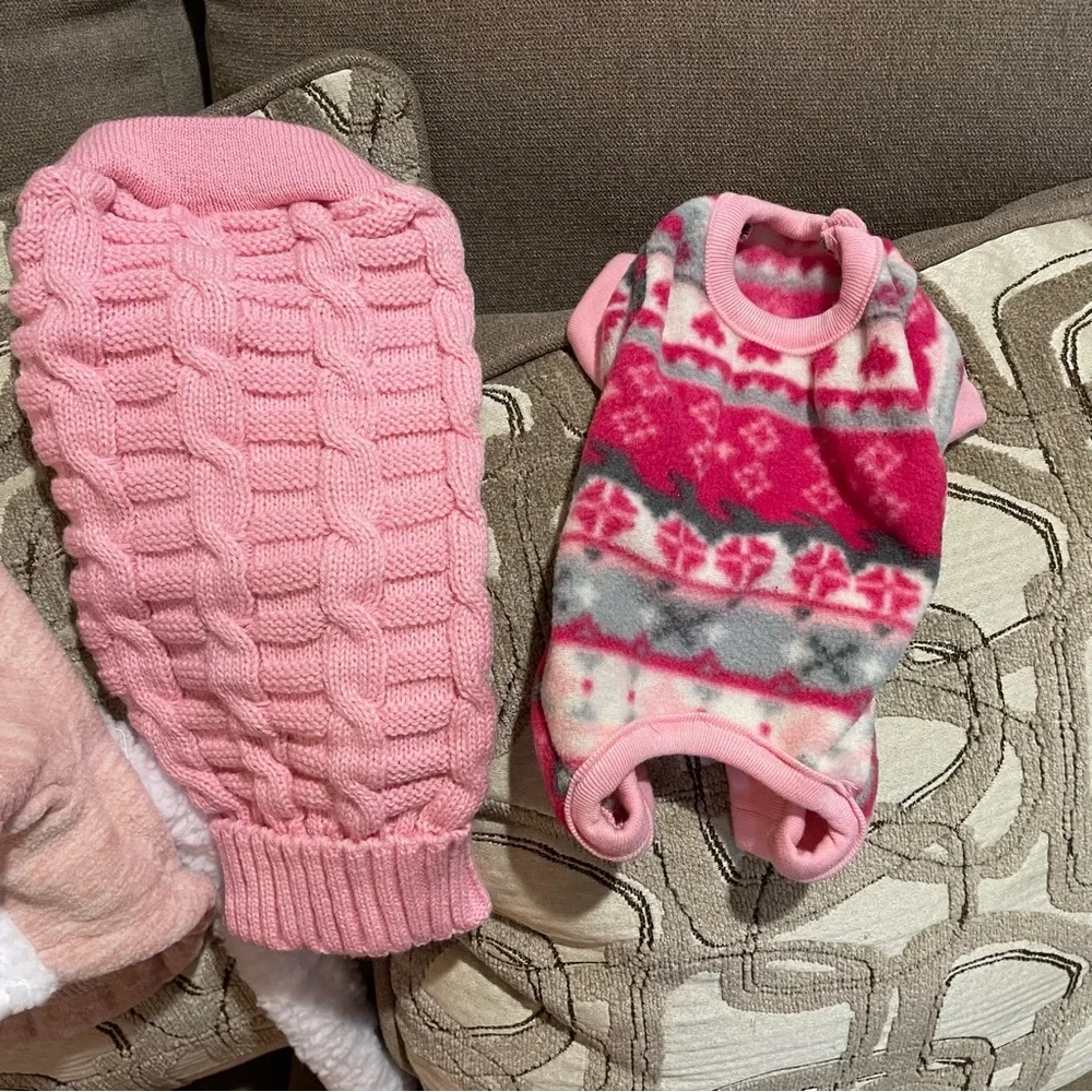 Bundle of small pet clothes